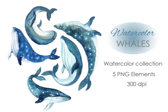 Dreamy Humpback Whale Clipart for Your Creative Projects
