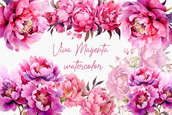 Fuchsia Pink Flower Hot Pink Flower: A Splash of Vibrant Elegance