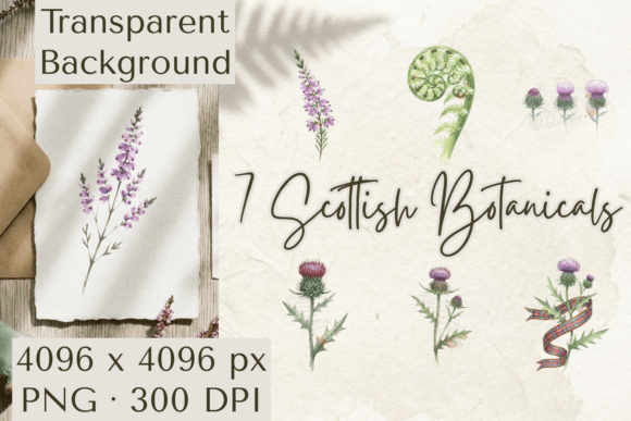 Highland Flora Unveiled: Watercolor Scottish Botanical Clipart