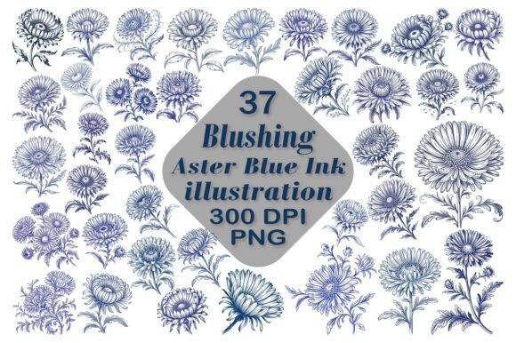Timeless Blue Ink Aster Illustrations for Your Projects
