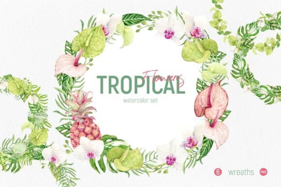 Tropical Flowers Set. Wreaths: Your Ticket to Island-Inspired Design