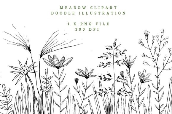 Wildflower & Meadow Flowers: A Hand Drawn Collection for Creative Projects